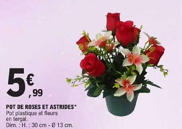 POT DE ROSES ET ASTRIDES*