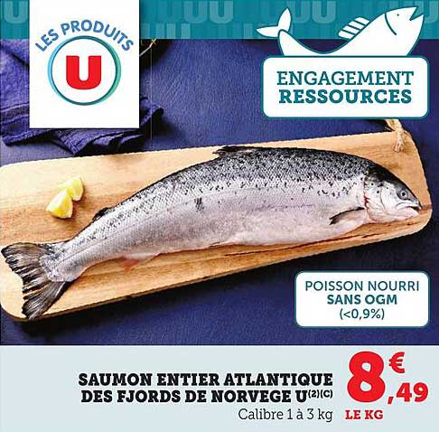 SAUMON ENTIERS ATLANTIQUES DES FJORDS DE NORVEGE