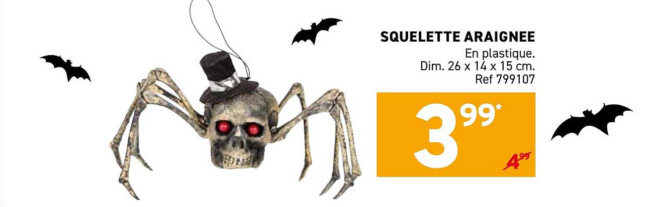 SQUELETTE ARAIGNÉE