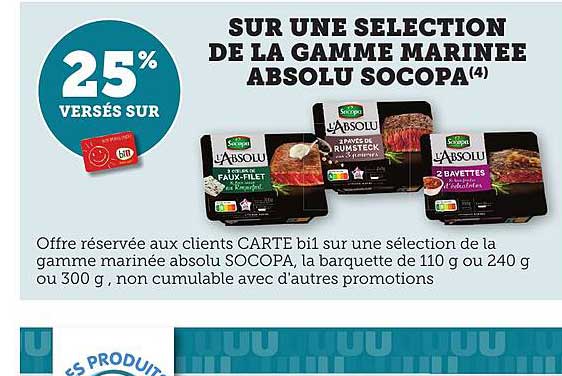 SUR UNE SELECTION DE LA GAMME MARINEE ABSOLU SOCOPA