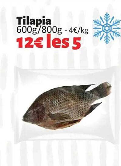Tilapia 600g/800g - 12€ les 5