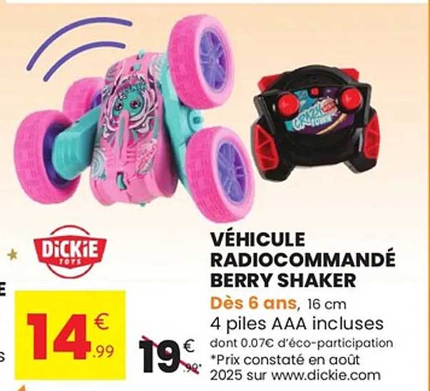 VÉHICULE RADIOCOMMANDÉ BERRY SHAKER