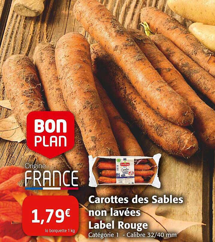 Carottes des Sables non lavées Label Rouge
