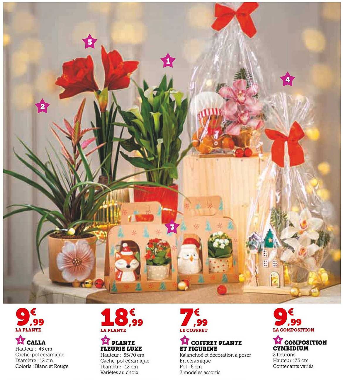 LA PLANTE FLEURIE LUXE