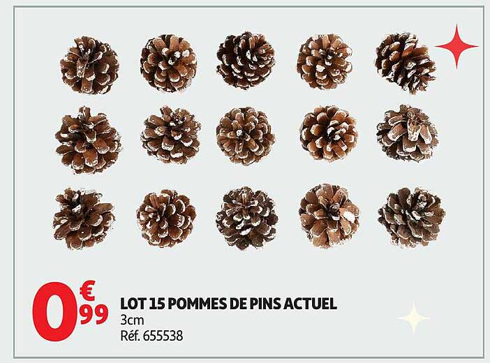 LOT 15 POMMES DE PINS ACTUEL