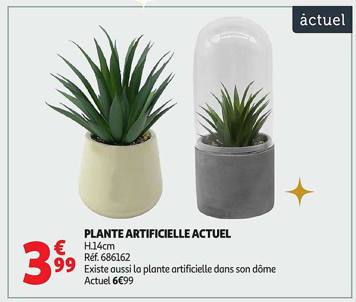 PLANTE ARTIFICIELLE ACTUEL