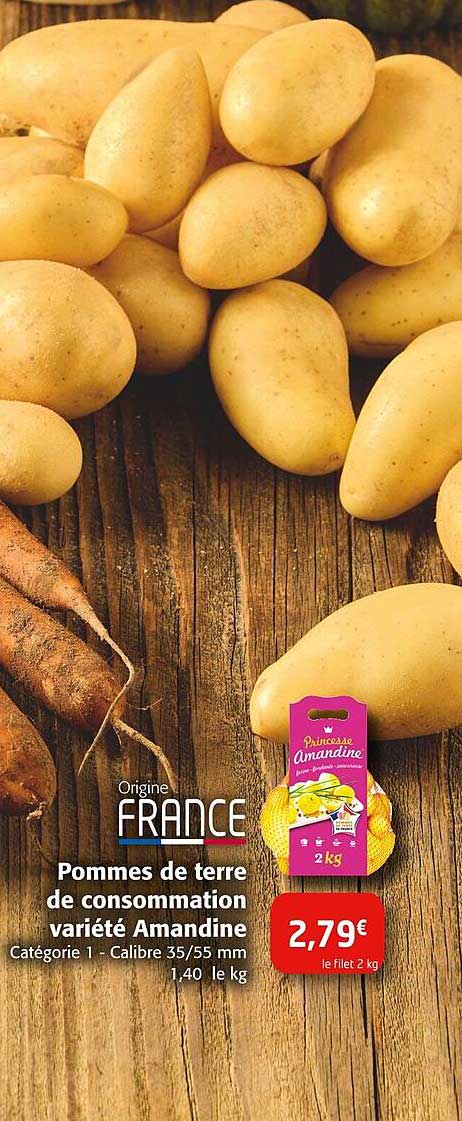 Pommes de terre de consommation variété Amandine