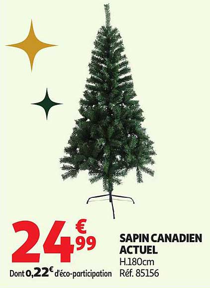 SAPIN CANADIEN ACTUEL