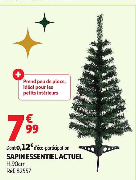 SAPIN ESSENTIEL ACTUEL