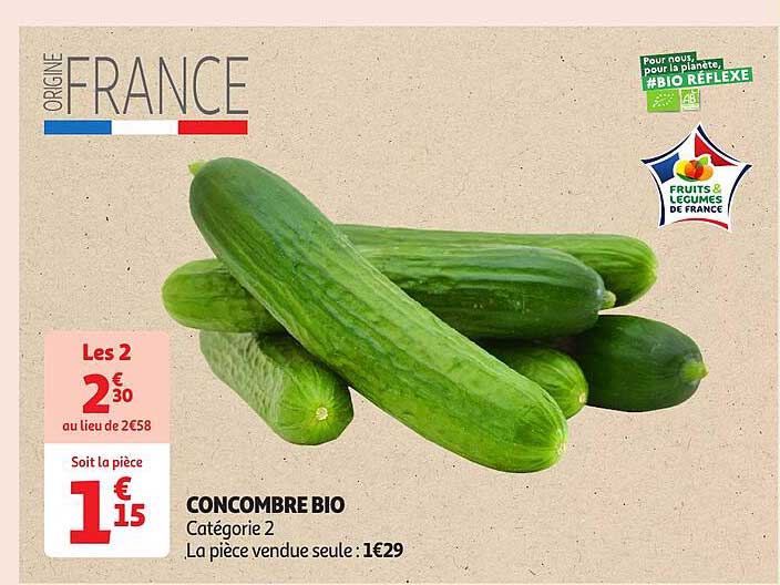 CONCOMBRE BIO