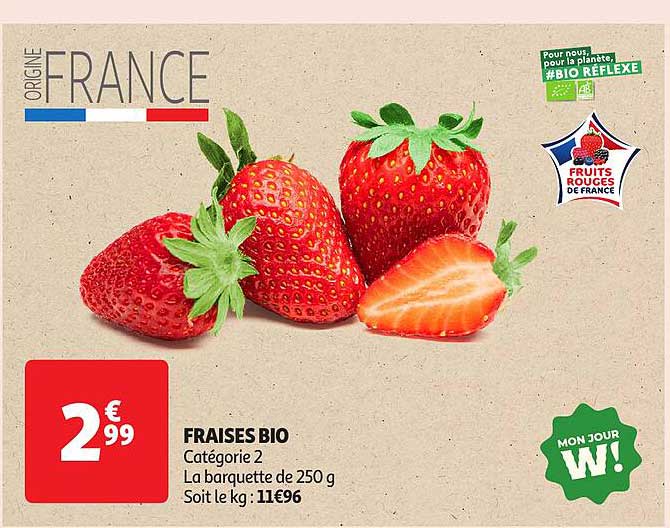 FRAISES BIO