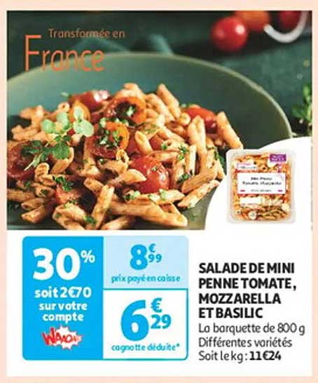 SALADE DE MINI PENNE TOMATE, MOZZARELLA ET BASILIC