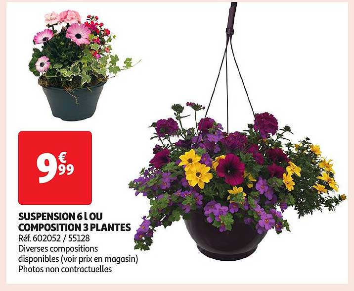 SUSPENSION 6 L OU COMPOSITION 3 PLANTES