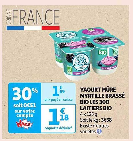 YAOURT MÛRE MYRTILLE BRASSÉ BIO LES 300 LAITIERS BIO 4 x 125 g