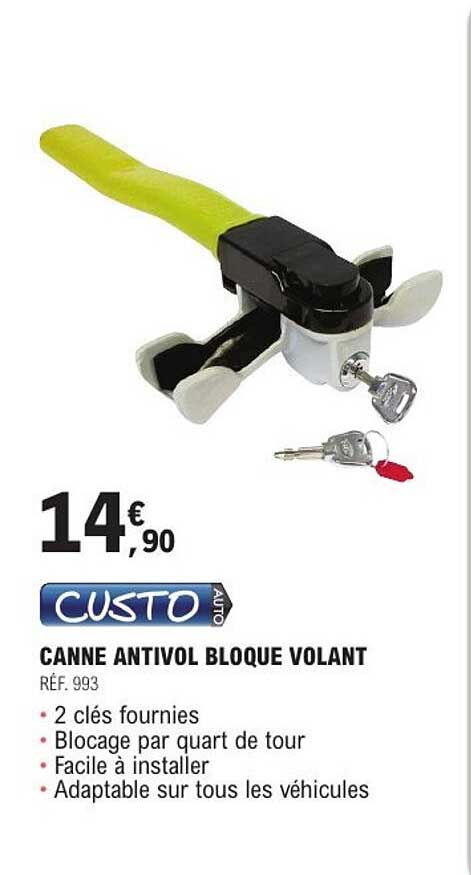 CANNE ANTIVOL BLOQUE VOLANT