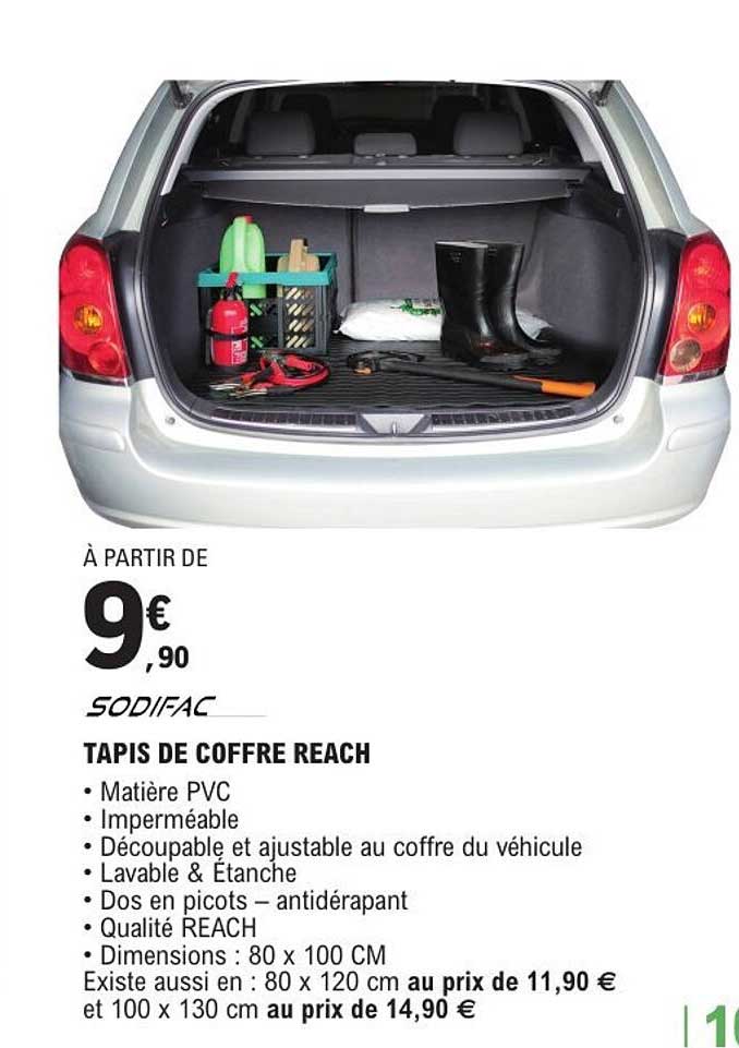 TAPIS DE COFFRE REACH