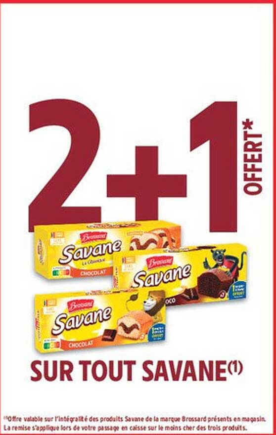 2+1 OFFERT* SUR TOUT SAVANE(1)