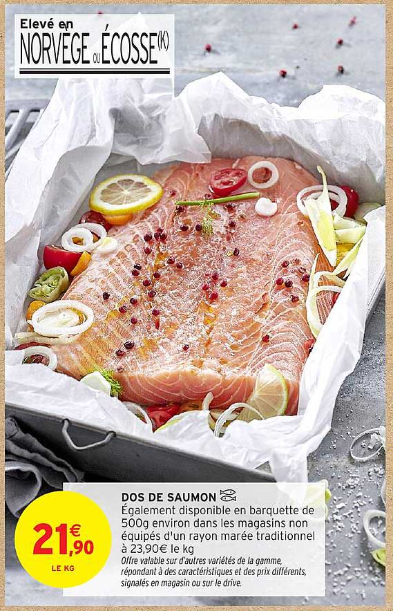 DOS DE SAUMON