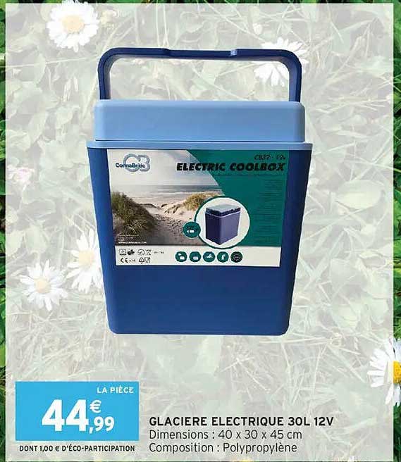 GLACIERE ELECTRIQUE 30L 12V