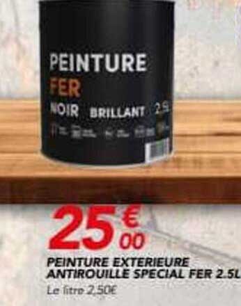 PEINTURE EXTERIEURE ANTIROUILLE SPECIAL FER 2.5L