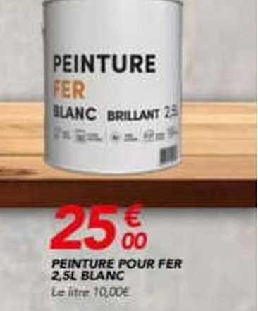 PEINTURE POUR FER 2,5L BLANC