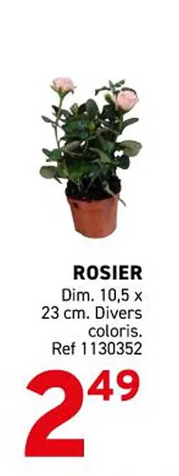 ROSIER