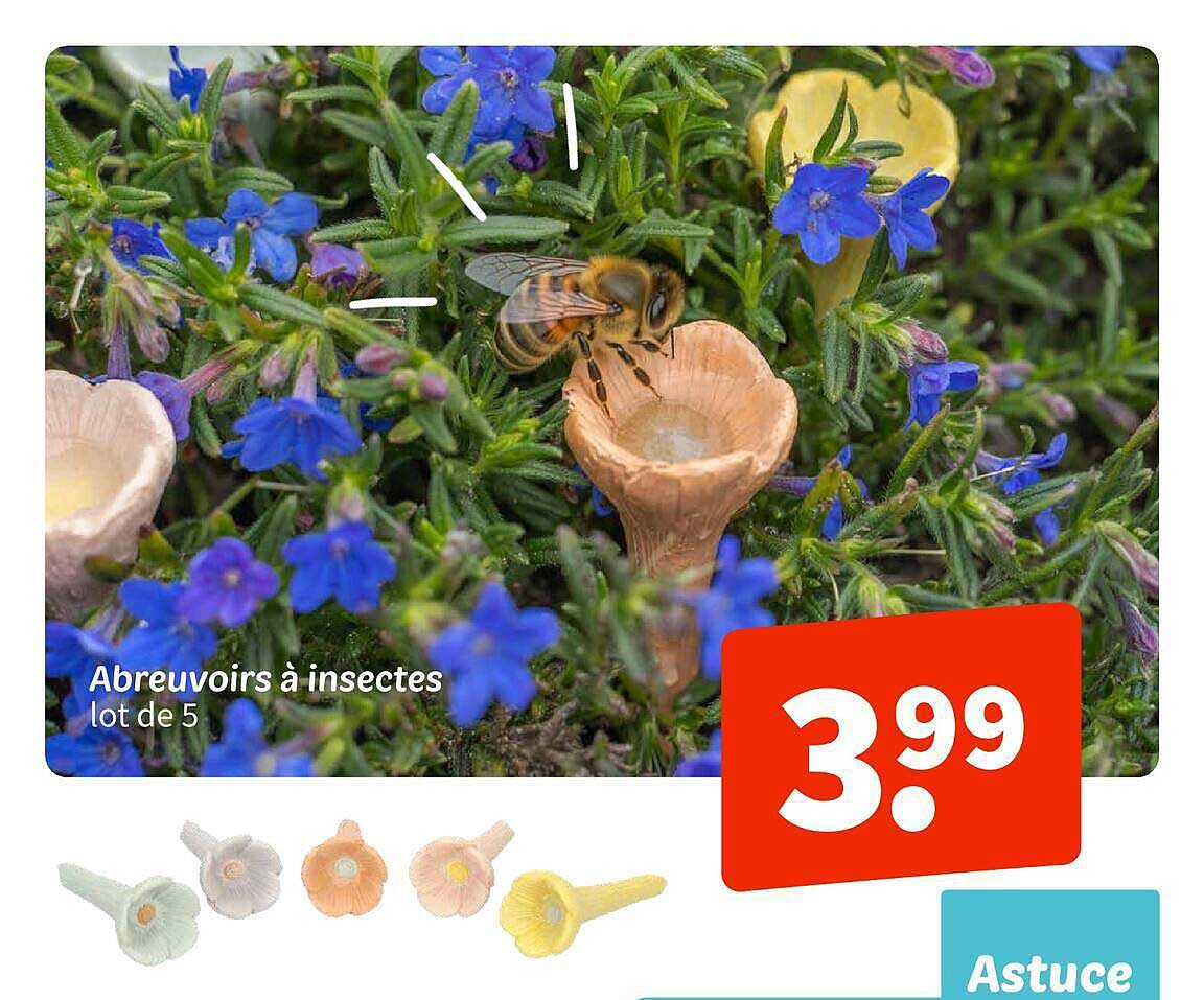Abreuvoirs à insectes lot de 5