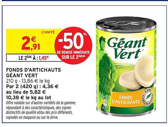 FONDS D'ARTICHAUTS GÉANT VERT