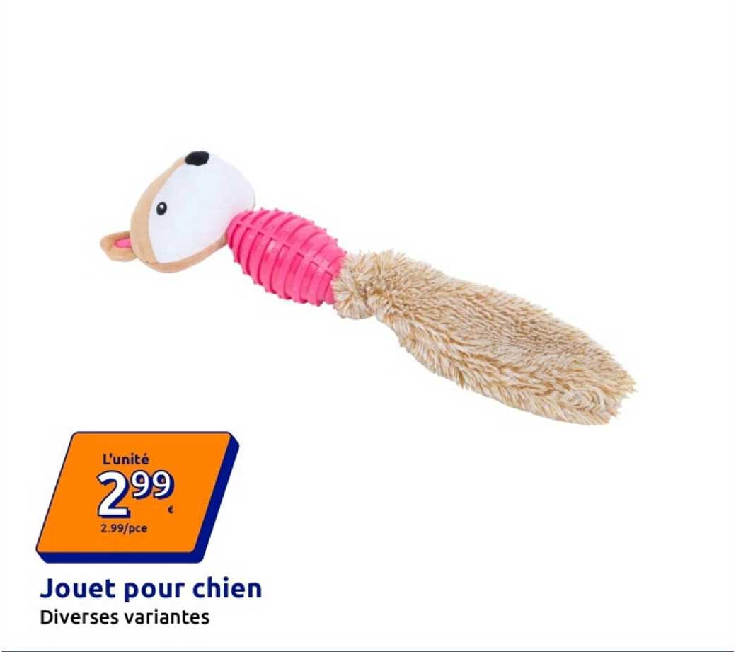 Jouet pour chien
