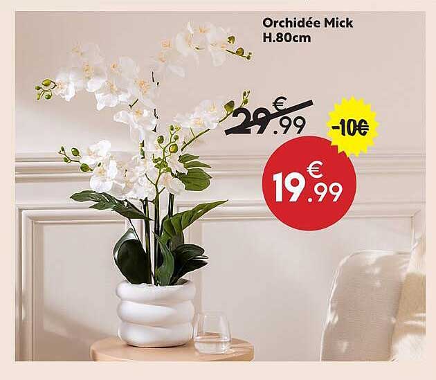 Orchidée Mick H.80cm
