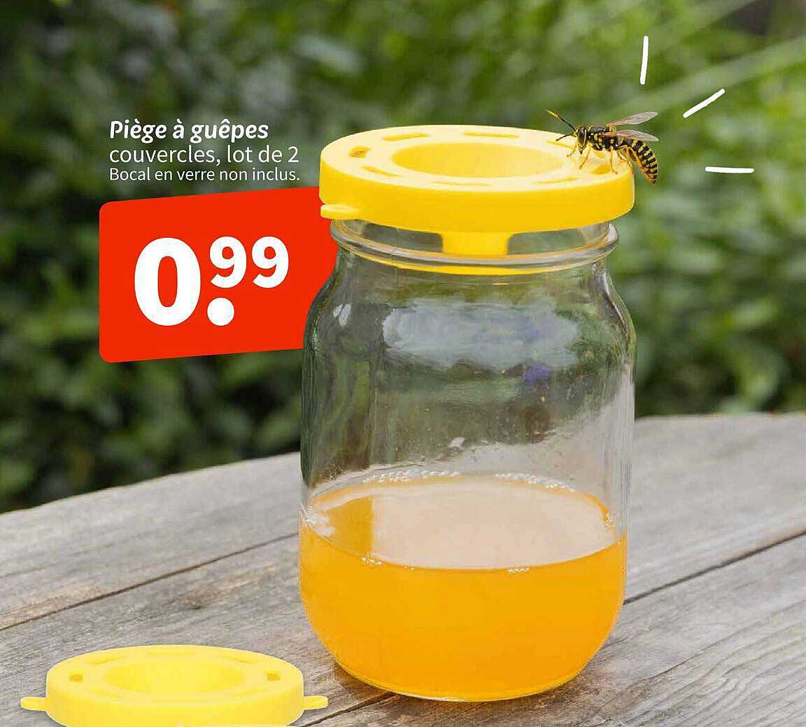 Piège à guêpes