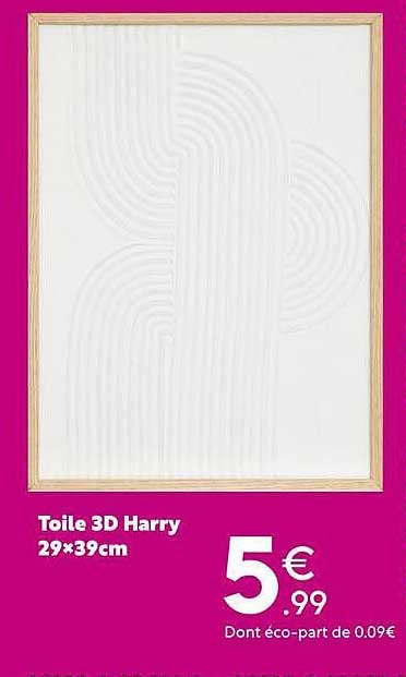Toile 3D Harry 29×39cm
