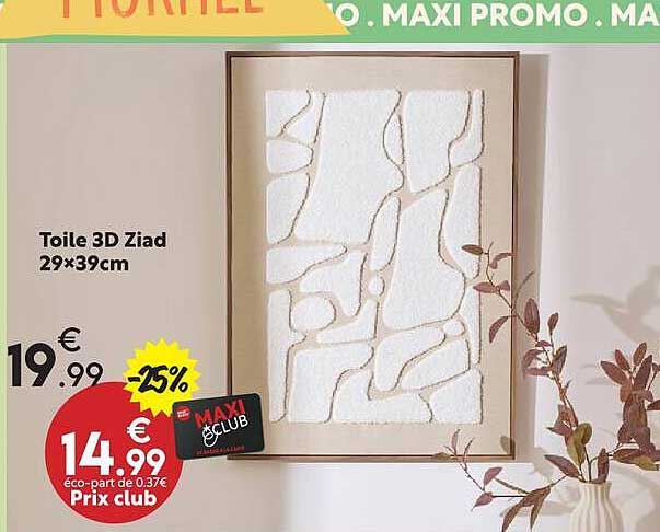 Toile 3D Ziad 29×39cm
