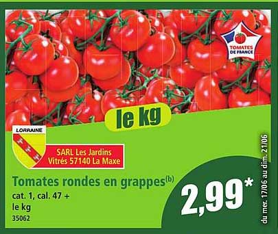 Tomates rondes en grappes(b)