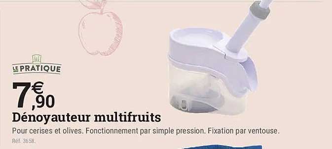 Dénoyautateur multifruits