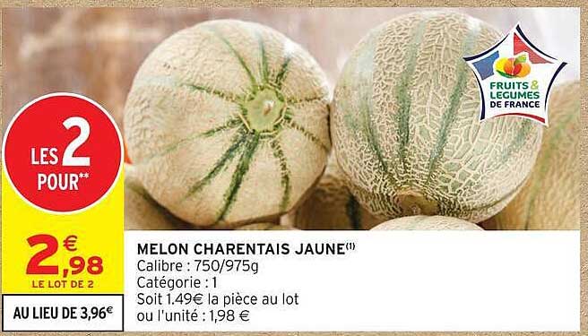 MELON CHARENTAIS JAUNE