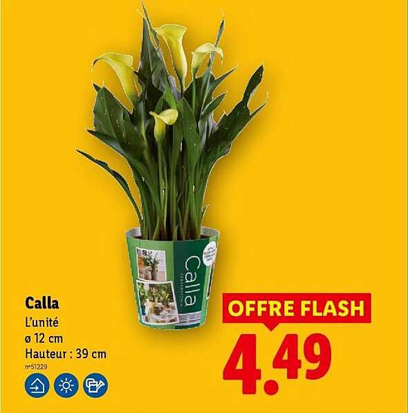 OFFRE FLASH