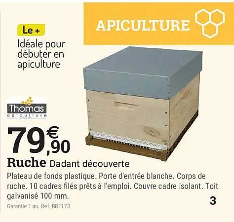 Ruche Dadant découverte