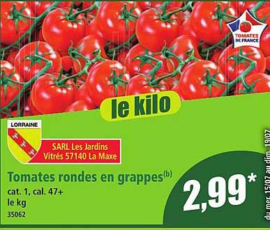 Tomates rondes en grappes(b)