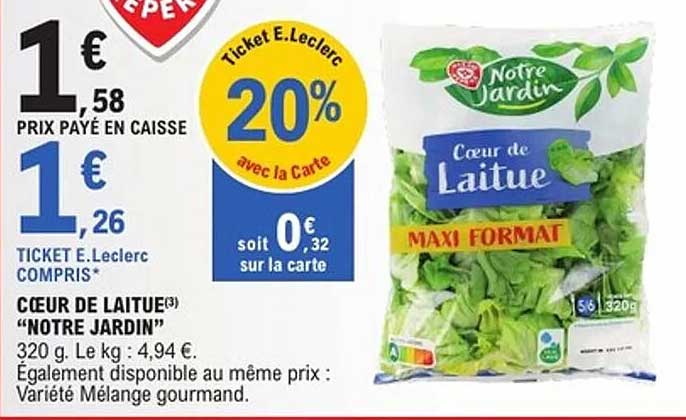 CŒUR DE LAITUE "NOTRE JARDIN"
