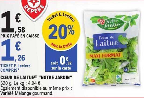 CŒUR DE LAITUE "NOTRE JARDIN"