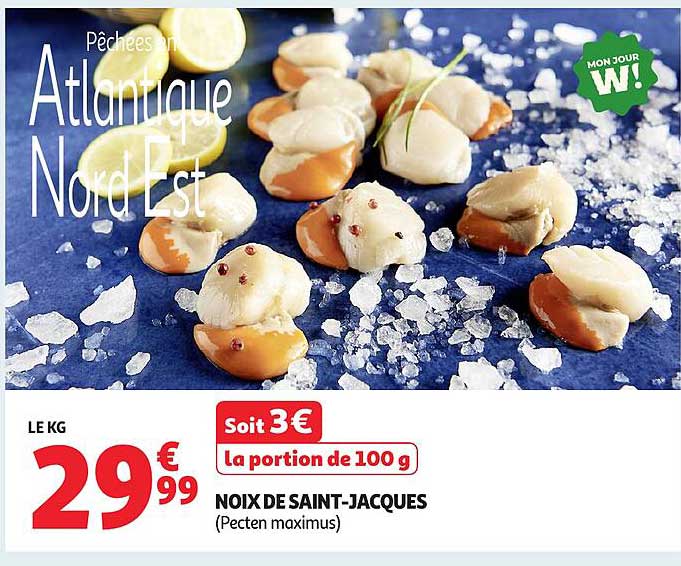 NOIX DE SAINT-JACQUES