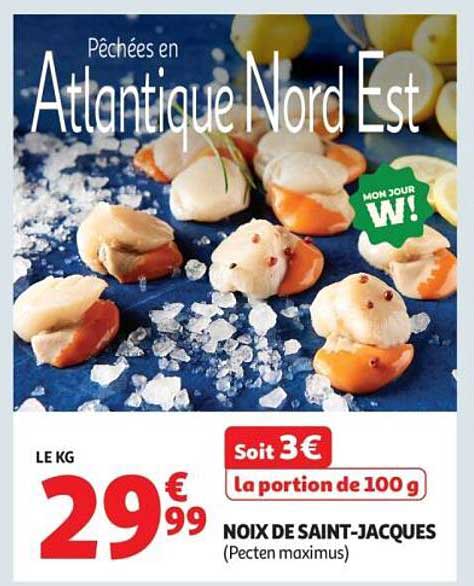 Noix de Saint-Jacques (Pecten maximus)
