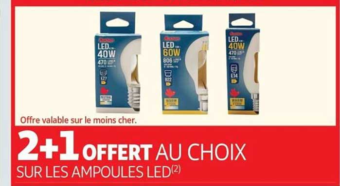 2+1 OFFERT AU CHOIX SUR LES AMPOULES LED(2)