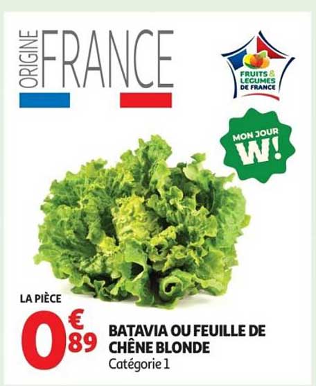 BATAVIA OU FEUILLE DE CHÊNE BLONDE