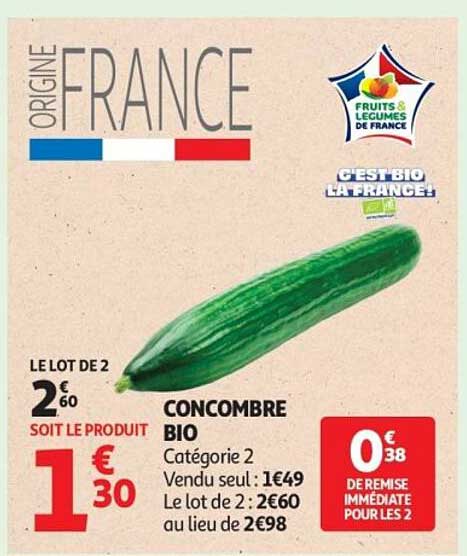 CONCOMBRE BIO