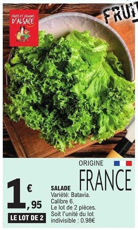 SALADE Variété: Batavia. Calibre 6. Le lot de 2 pièces.