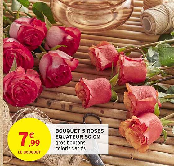 BOUQUET 5 ROSES ÉQUATEUR 50 CM