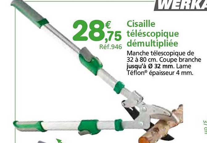 Cisaille télescopique démultipliée