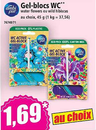 Gel-blocs WC**